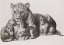 Vente par "Ader SVV" du 29/03/2024 - Lionne et ses lionceaux, 1929. (lot n°136)